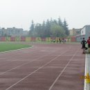 sztaf 14
